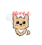 くつした小琴ちゃん（個別スタンプ：13）
