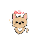 くつした小琴ちゃん（個別スタンプ：14）
