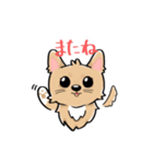 くつした小琴ちゃん（個別スタンプ：16）