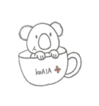 koalaのスタンプ（個別スタンプ：11）