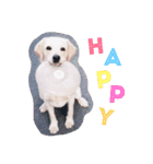 ラブラドール犬 Happy（個別スタンプ：1）