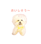 World travel of Bichon ！ 04（個別スタンプ：8）