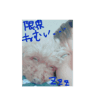トイプードルたるれの日常（個別スタンプ：2）
