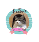 ムギちゃんルナちゃん（個別スタンプ：1）
