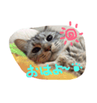 ムギちゃんルナちゃん（個別スタンプ：5）