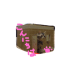 ムギちゃんルナちゃん（個別スタンプ：6）