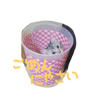ムギちゃんルナちゃん（個別スタンプ：16）