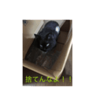 ガッチャ（個別スタンプ：3）