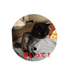 ガッチャ（個別スタンプ：4）