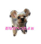 ちょことくるみ（個別スタンプ：13）