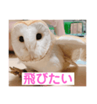 ミンミンとルンルン（個別スタンプ：1）