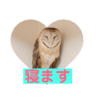 ミンミンとルンルン（個別スタンプ：2）