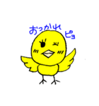 ピヨコの毎日（個別スタンプ：1）