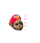 ぴーすぴーすぴーす（個別スタンプ：2）