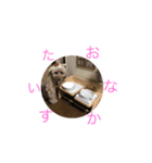 ぴーすぴーすぴーす（個別スタンプ：3）