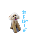 ぴーすぴーすぴーす（個別スタンプ：5）