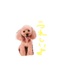 ぴーすぴーすぴーす（個別スタンプ：7）
