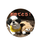 琥珀 スタンプNo．2（個別スタンプ：16）