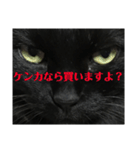 せまってくるくろねこ（個別スタンプ：2）