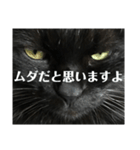 せまってくるくろねこ（個別スタンプ：5）