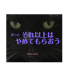 せまってくるくろねこ（個別スタンプ：9）