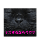 せまってくるくろねこ（個別スタンプ：10）