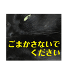 せまってくるくろねこ（個別スタンプ：16）