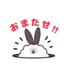 毛玉コレクション（個別スタンプ：16）