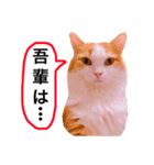 ねこのきもち。イチのきもち。6（個別スタンプ：2）
