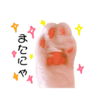 ねこのきもち。イチのきもち。6（個別スタンプ：4）