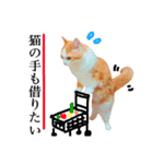 ねこのきもち。イチのきもち。6（個別スタンプ：6）