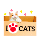 ねこのきもち。イチのきもち。6（個別スタンプ：7）