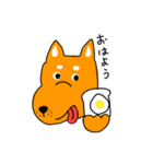 柴犬のけん（個別スタンプ：2）