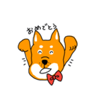 柴犬のけん（個別スタンプ：3）