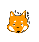柴犬のけん（個別スタンプ：4）