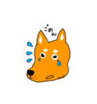 柴犬のけん（個別スタンプ：5）