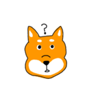 柴犬のけん（個別スタンプ：6）