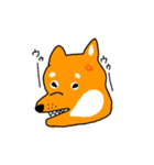 柴犬のけん（個別スタンプ：7）