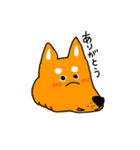 柴犬のけん（個別スタンプ：8）