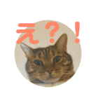 ぎんちゃんとにゃーすけのスタンプ（個別スタンプ：4）