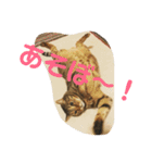 ぎんちゃんとにゃーすけのスタンプ（個別スタンプ：5）