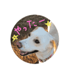 えんJOYスタンプ（個別スタンプ：7）