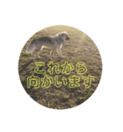 えんJOYスタンプ（個別スタンプ：23）