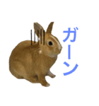うさぎのモカくん。（個別スタンプ：14）