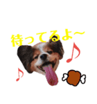 かなゆうわかれお（個別スタンプ：3）