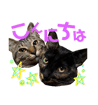 わかばとふたば（個別スタンプ：1）