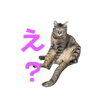 わかばとふたば（個別スタンプ：3）