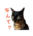 わかばとふたば（個別スタンプ：6）