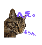 わかばとふたば（個別スタンプ：7）