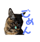 わかばとふたば（個別スタンプ：8）